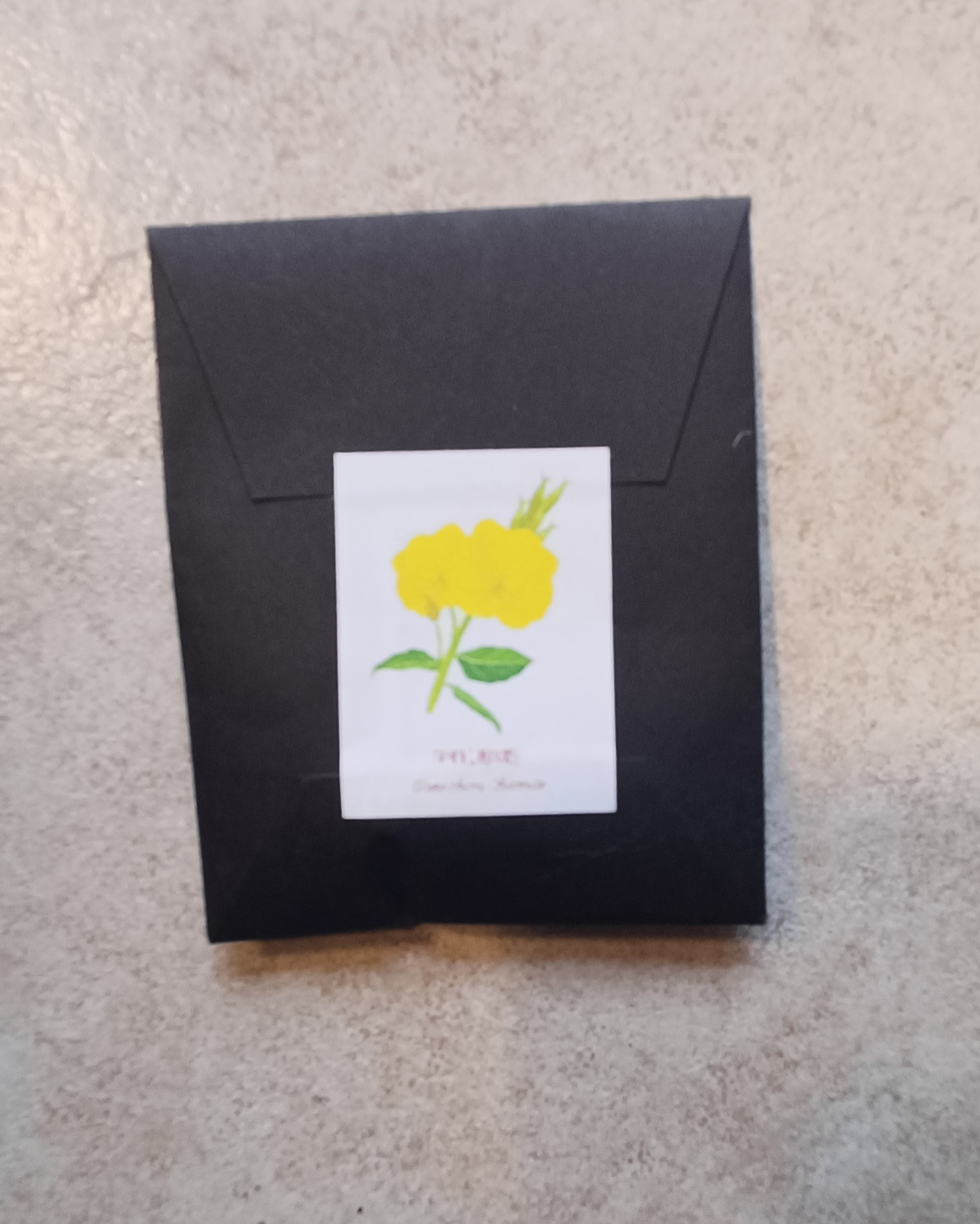 Seeds - Evening Primrose - Image 4