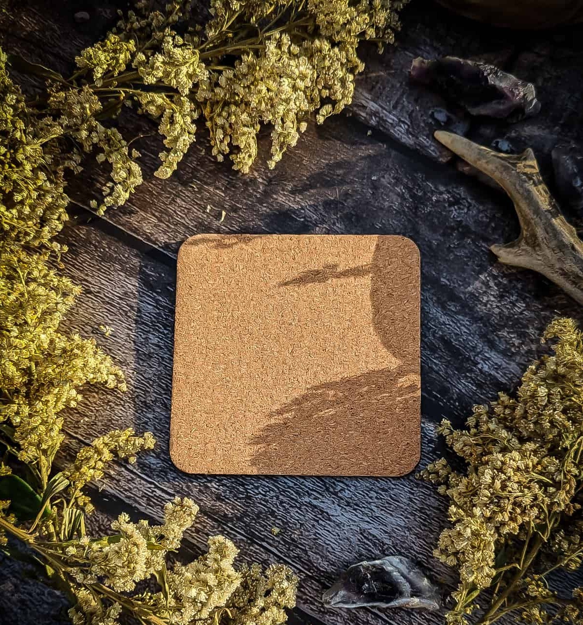 Coasters - Still Growing - Image 3