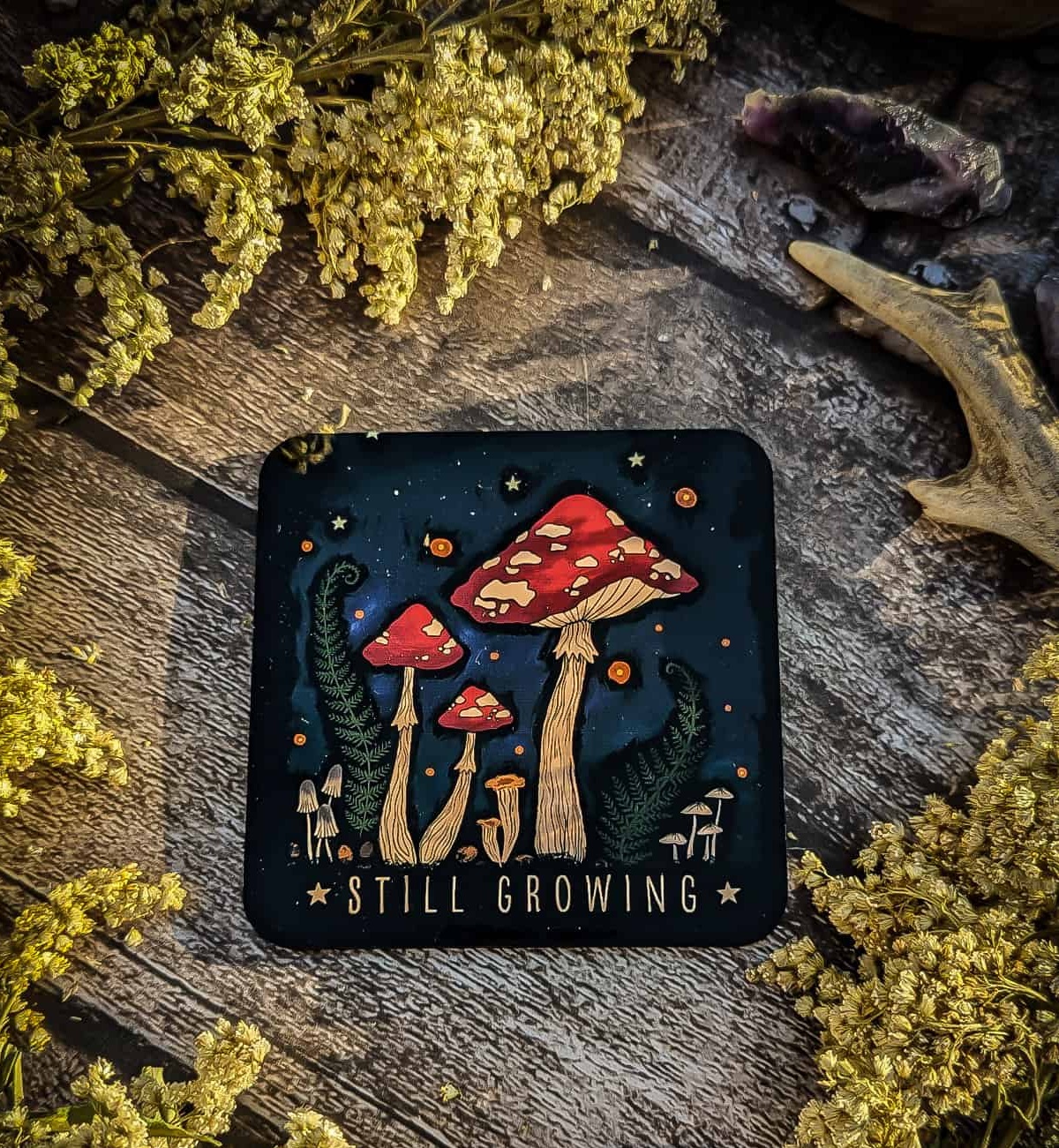 Coasters - Still Growing