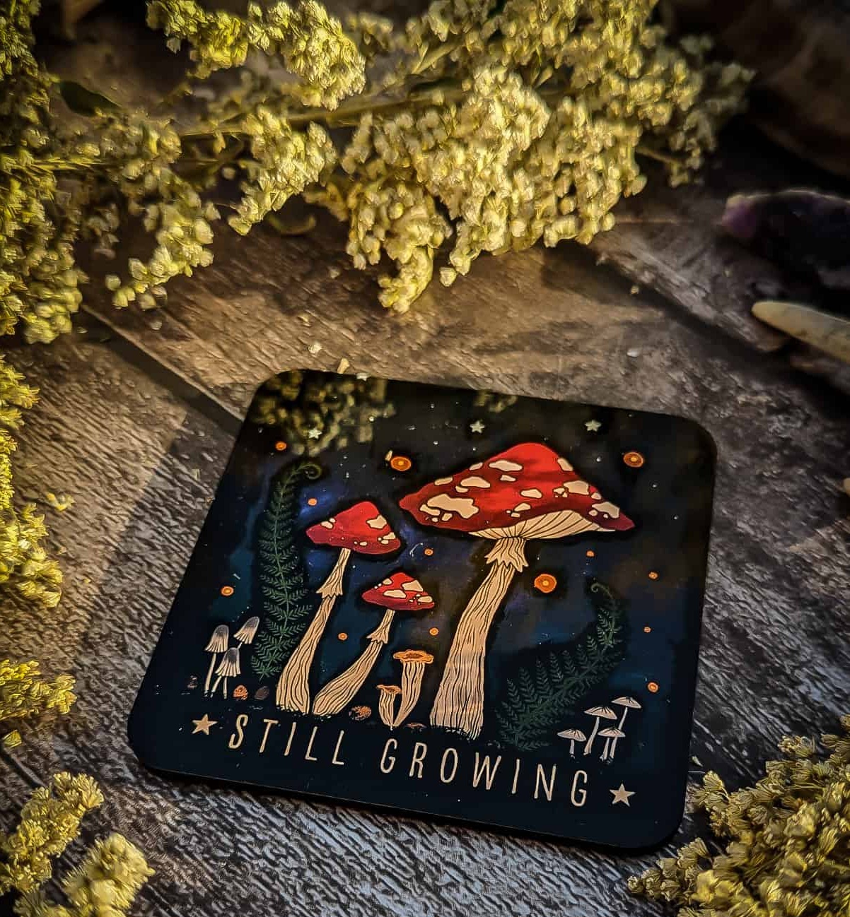 Coasters - Still Growing - Image 2