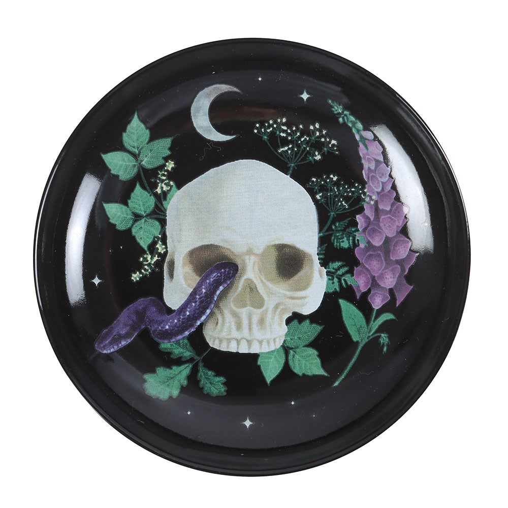 Venom & Vines - Skull Trinket Dish - Image 2