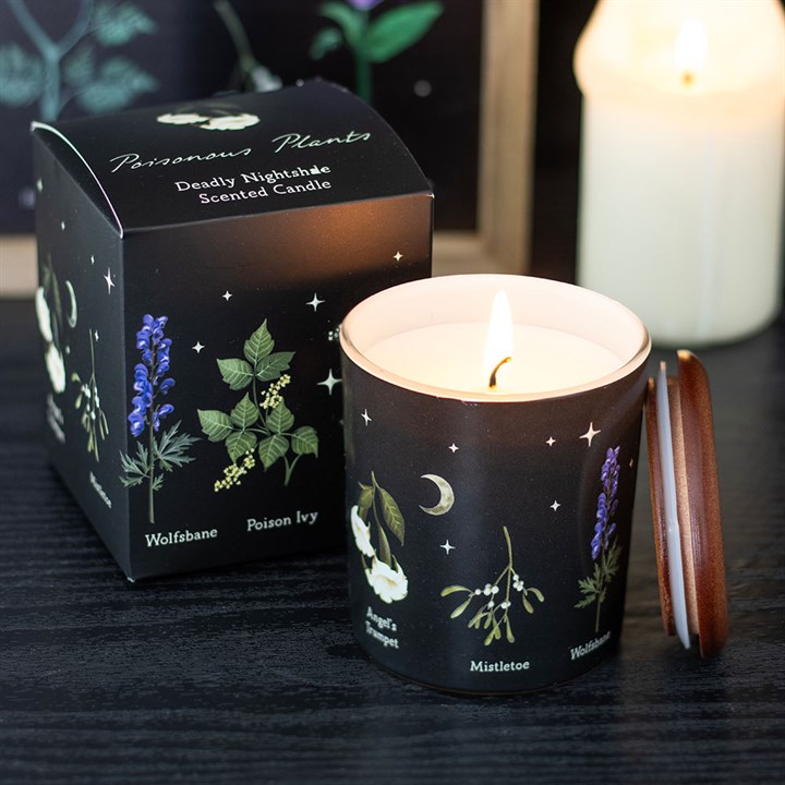 Featured image for “Deadly Nightshade Scented Candle”