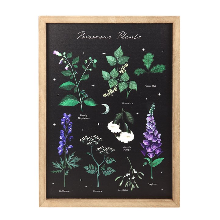 Poisonous Plants Framed Wall Art Print - Image 2
